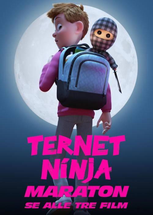 Ternet Ninja Maraton