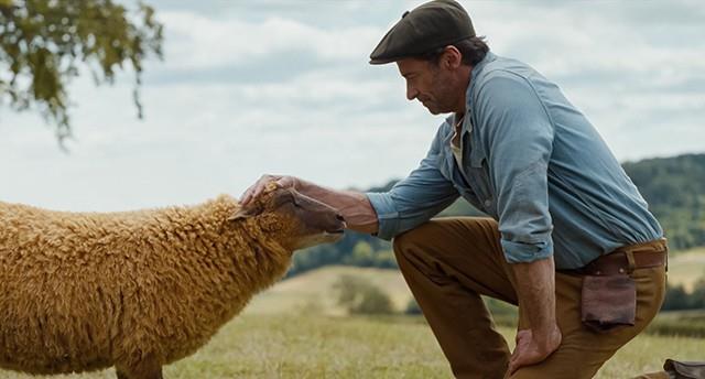 Fårbrydelsen - DK Tale