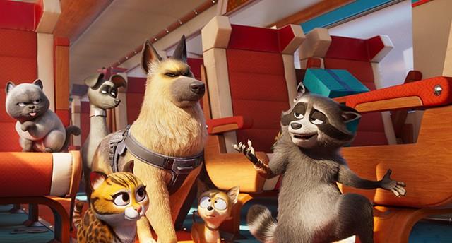 Kæledyrs-ekspressen