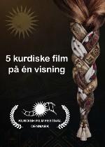 5 kurdiske film 2026